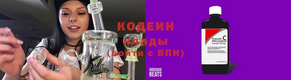 мдпв Дмитров