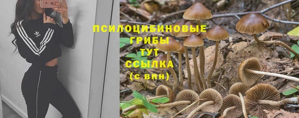 каннабис Дмитриев