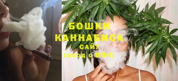 молекула духа Дмитровск