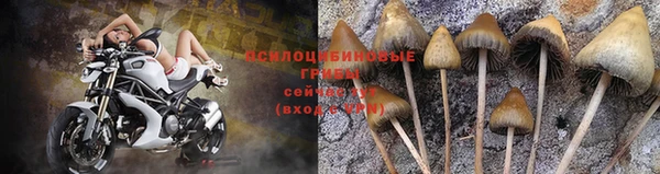 молекула духа Дмитровск